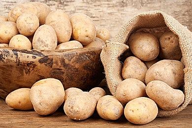 《Late Homework》Steam上线 猫咪恐怖探索